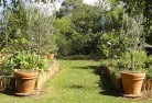 Aratula NSWvegetable-gardens-3.jpg; ?>